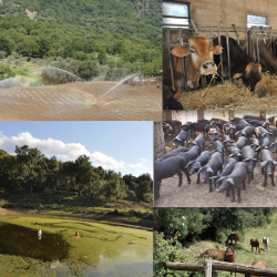 Agriturismo Le Terrazze Sul Mare Bio
